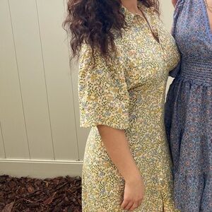 Zara button down full length dress